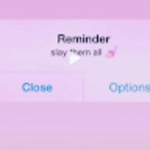 Meet your Posher, Lexi - Picture 1 of 1